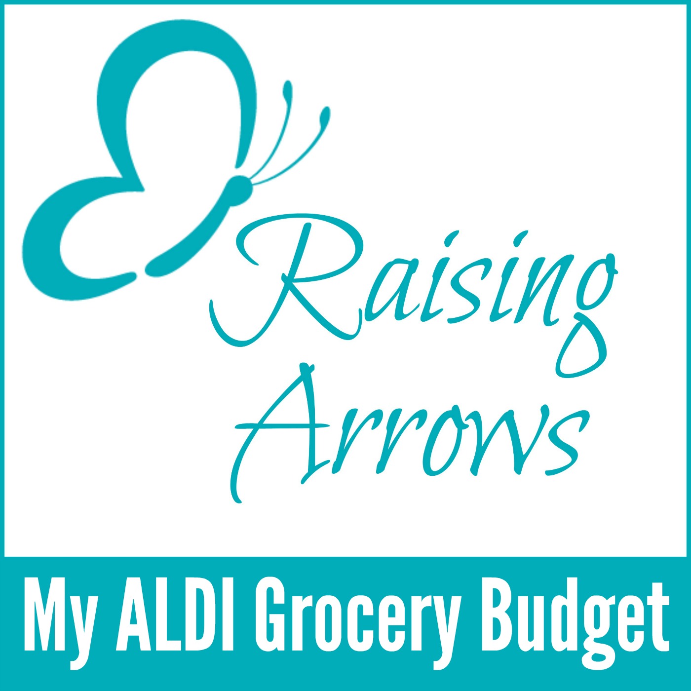My ALDI Grocery Budget Podcast #014