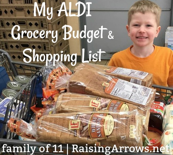 Aldi Shopping List & Grocery Budget (Large Family)