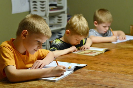 Our 2017 Elementary Curriculum