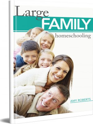 Large Family Homeschooling
