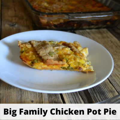 Chicken Pot Pie Large Family Style!
