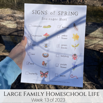 Large Family Homeschool Life – Week 13 of 2023