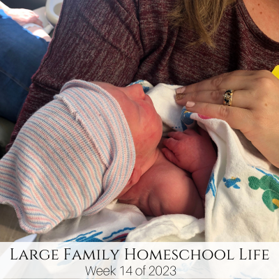 Large Family Homeschool Life – Week 14 of 2023