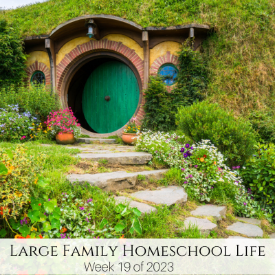 Large Family Homeschool Life – Week 19 of 2023