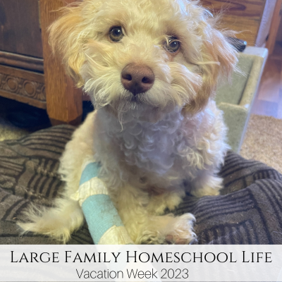 Large Family Homeschool Life – Vacation 2023 Week!