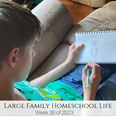 Large Family Homeschool Life – Week 30 of 2023
