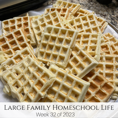 Large Family Homeschool Life – Week 32 of 2023