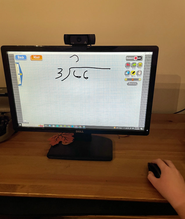 All of my kids love the scratch pad in Teaching Textbooks.